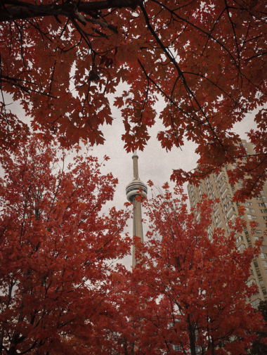 couleurs-automne-toronton-sans-voiture