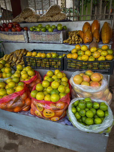 les-choses-a-gouter-bolivie