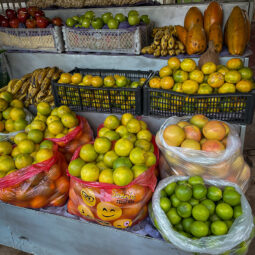 les-choses-a-gouter-bolivie